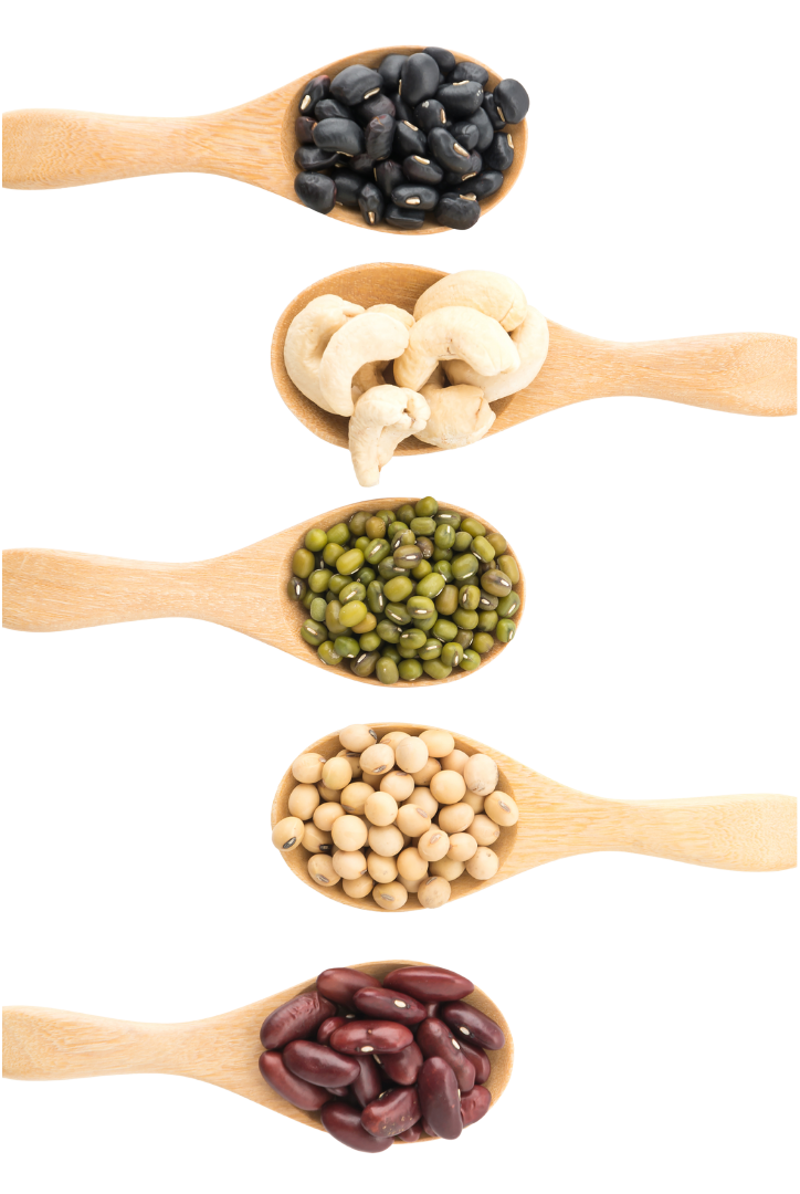 health meal